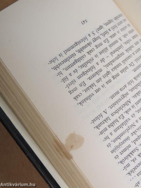 Város, esti fényben