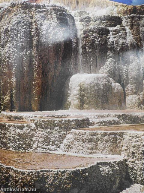 A Photographic and Comprehensive Guide to Yellowstone National Park