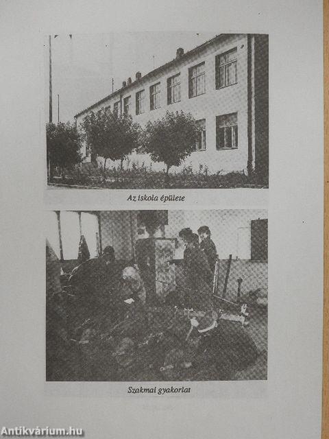 Lipthay Béla Mezőgazdasági Szakképző Iskola jubileumi évkönyv 1996