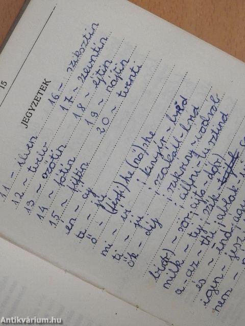 Magyar-angol szótár