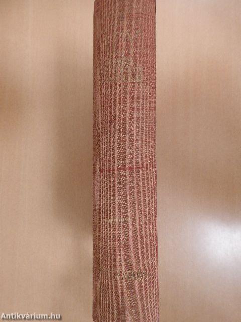 Ady Endre összegyüjtött novellái