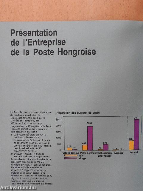 Report Annuel 1991