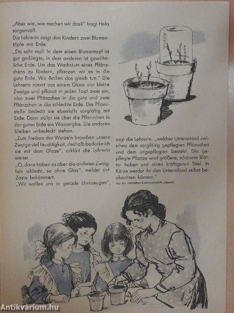 Die ABC Zeitung 3/1954