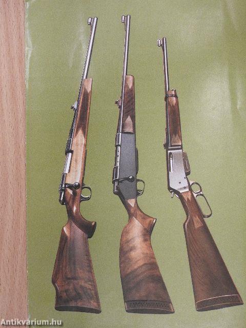 Hunting Arms and the Theory of Shooting