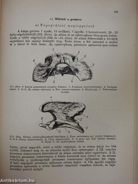 A kísérleti orvostudomány vizsgáló módszerei I. (töredék)