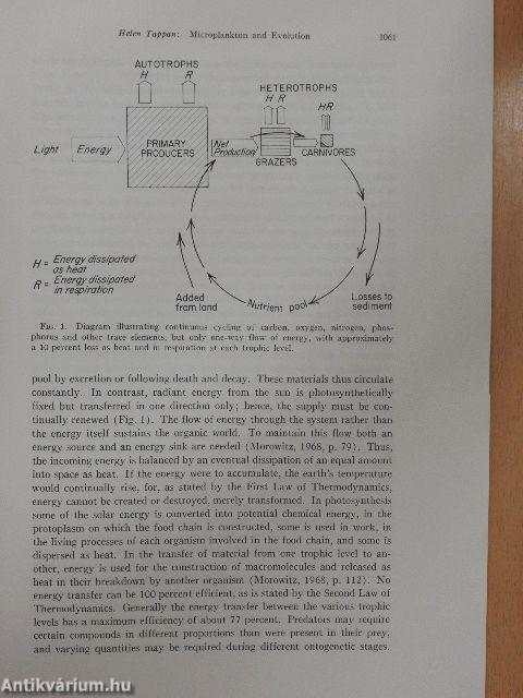 Microplankton, Ecological Succession and Evolution