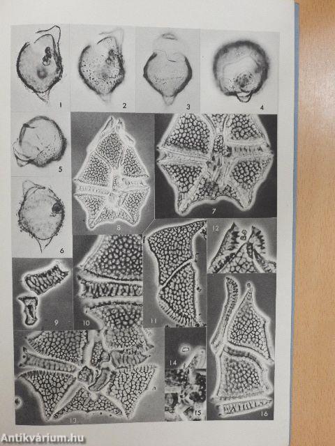 Dinoflagellate Studies IV.