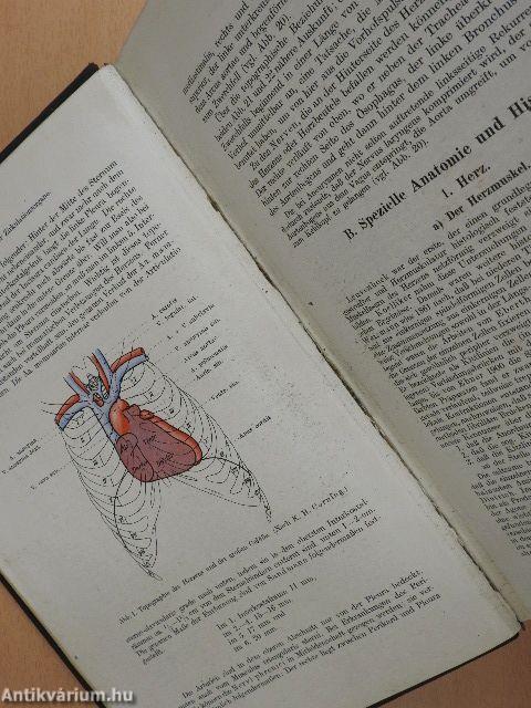 Handbuch der Inneren Medizin II.1.