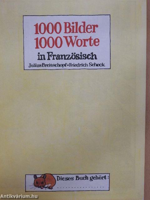 1000 Bilder-1000 Worte in Französisch