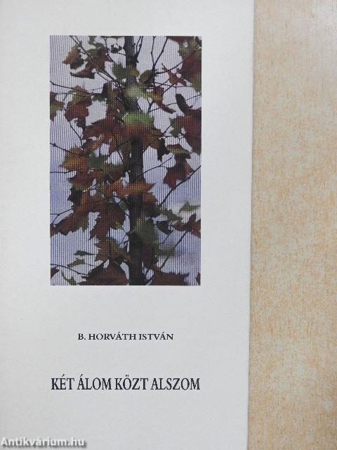 Két álom közt alszom