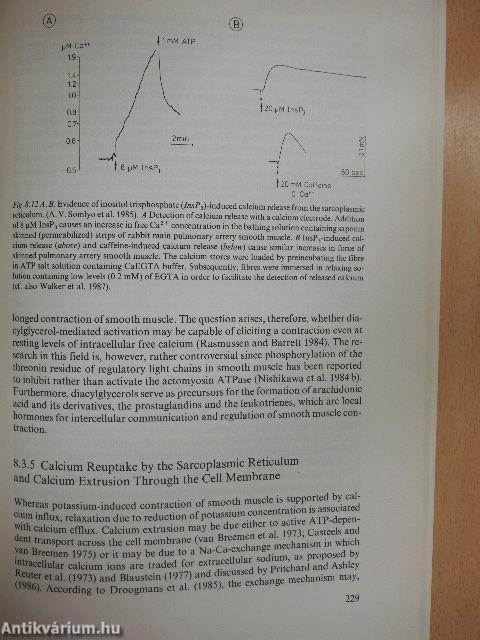 Calcium in Muscle Activation