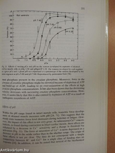 Pathophysiology of Severe Ischemic Myocardial Injury