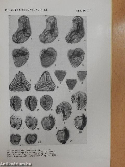 Spores et pollens nouveaux d'une coupe de la briqueterie d'Eger (Hongrie)