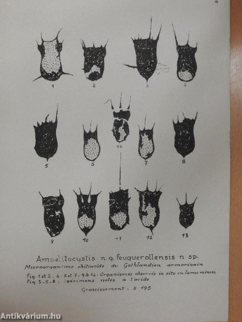 Ampelitocystis, Genre Nouveau de Microorganisme Chitinoide du Gothlandien Armoricain