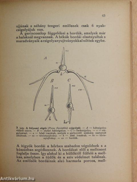 Bevezetés az élettudományba