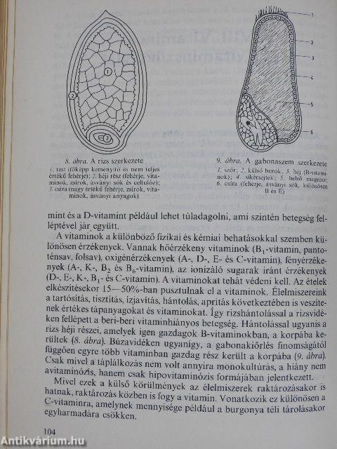 A sportolók táplálkozása