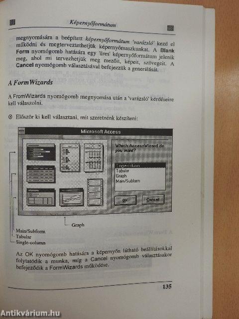 Microsoft Access
