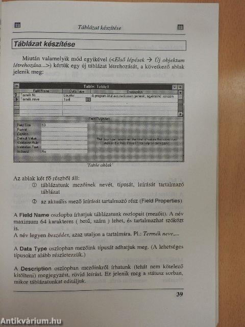 Microsoft Access