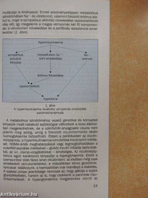 A metabolikus szindróma