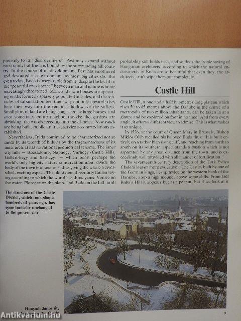 Buda Castle