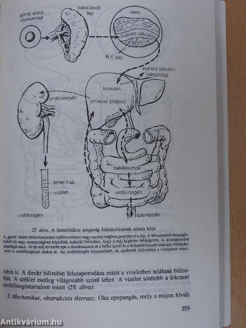 Klinikai ismeretek a belgyógyászat köréből ápolónők részére