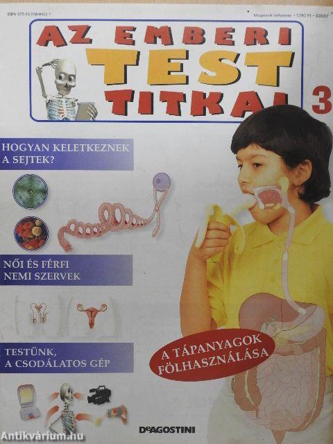 Az emberi test titkai 3.