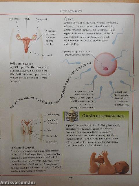 Az emberi test titkai 3.