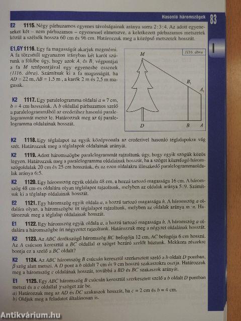 Matematika - Gyakorló és érettségire felkészítő feladatgyűjtemény III.