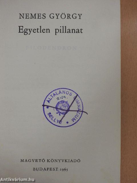 Egyetlen pillanat