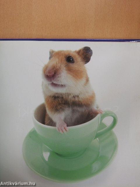 Mesterségek