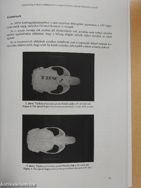 Állattani Közlemények 93/1-2.