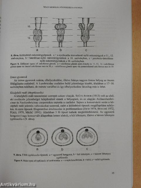 Állattani Közlemények 92/1.