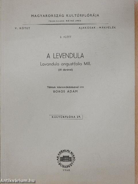 A levendula