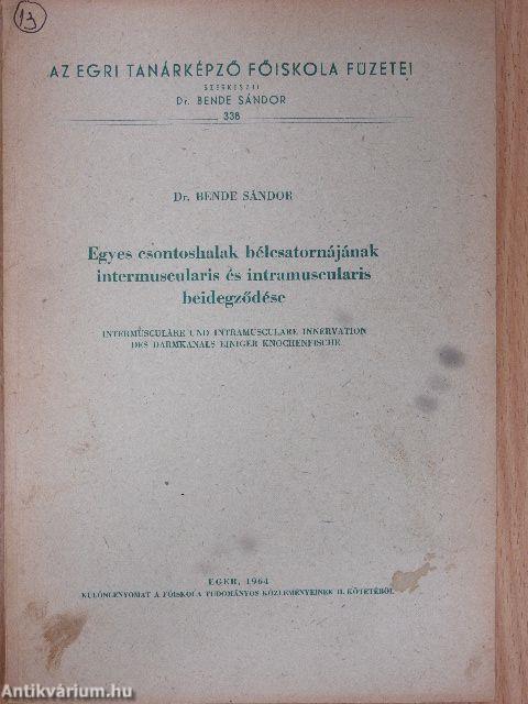 Egyes csonthalak bélcsatornájának intermuscularis és intramuscularis beidegződése