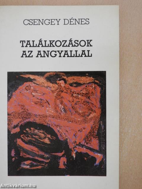 Találkozások az angyallal (dedikált példány)