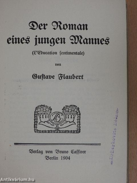 Der Roman eines jungen Mannes (gótbetűs)