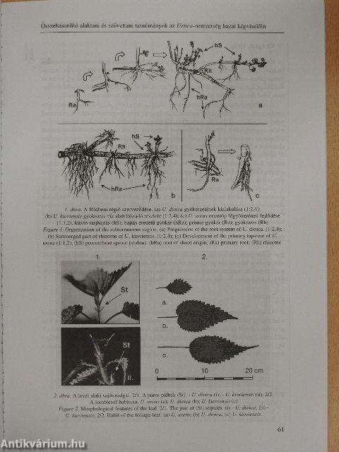 Botanikai közlemények 2005/1-2.