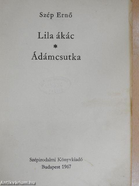 Lila ákác/Ádámcsutka