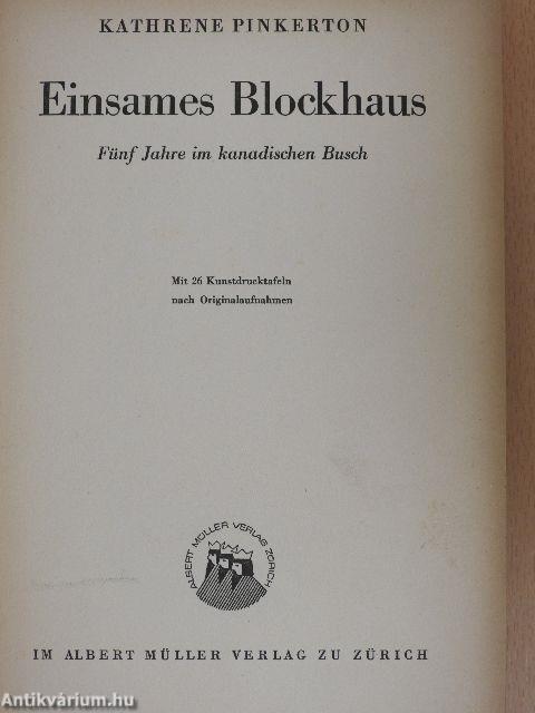 Einsames Blockhaus