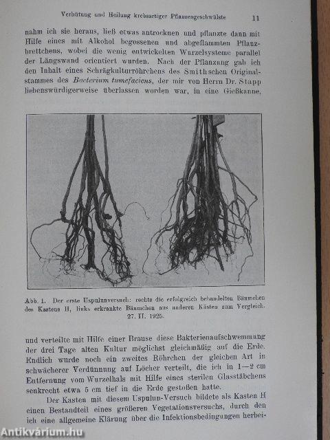 Angewandte Botanik 8.