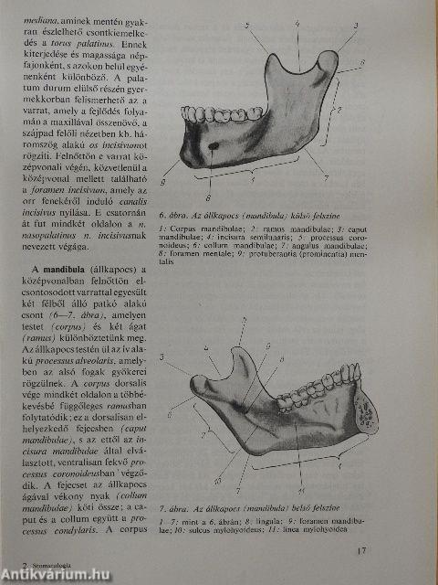 Stomatologia