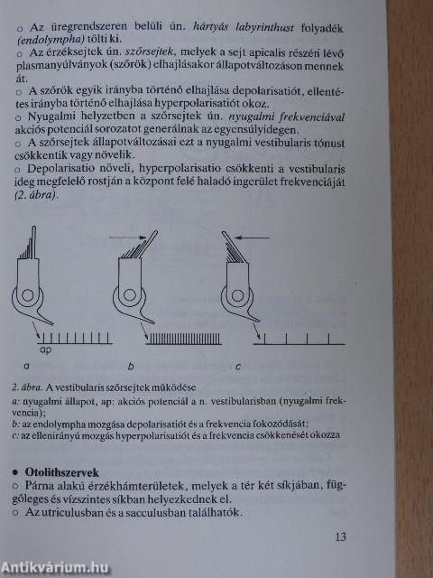 Szédüléssel járó kórképek