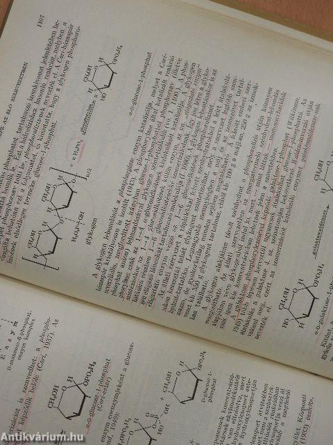 Szerves kémia I/1-2.