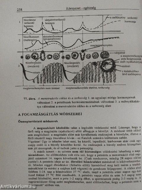 Ember és környezete