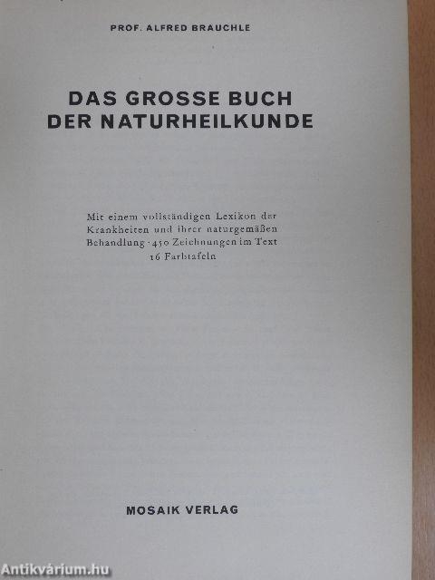 Das grosse Buch der Naturheilkunde