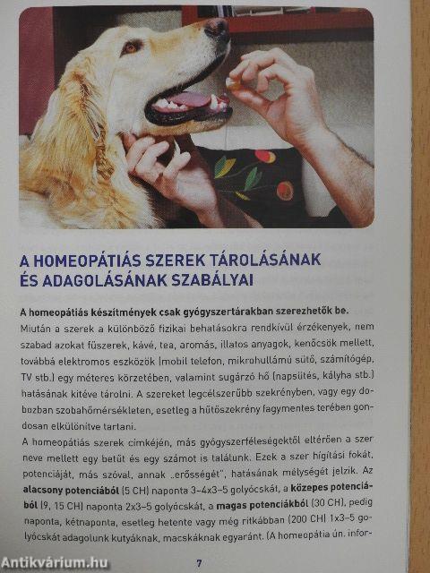 "Kutyabaj és macskajaj" homeopátiás kezelése