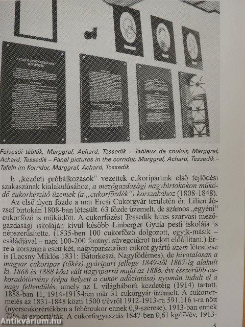 Szerencs - Cukormúzeum