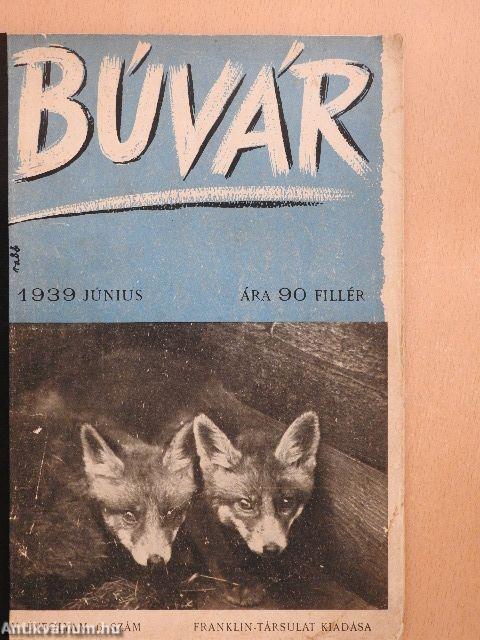 Búvár 1939. június