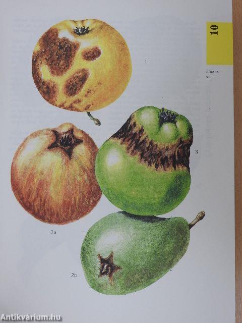 Atlas chorob a skodcov ovocnych drevín a vinica