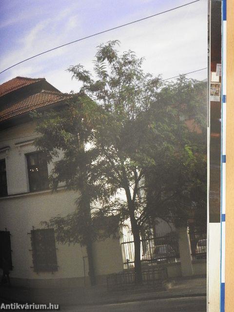 Kazimierz - Dzielnica Krakowa